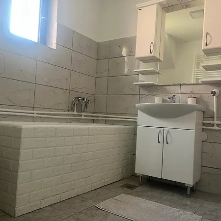 Apartment Apartmanii Gajic