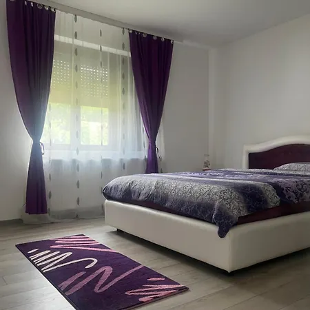 Apartament Apartmanii Gajic Kursumlija